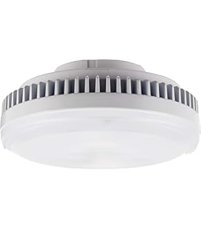 新品TOSHIBA E-CORE LDF7L-GX53/2 10個２箱 21HmiczWv0L._AC_SY200_QL15_.jpg